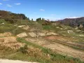 四ケ村の棚田の写真_236220