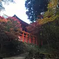 比叡山延暦寺の写真_236310