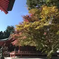 比叡山延暦寺の写真_236311