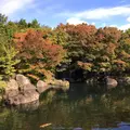 好古園の写真_236357