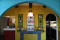 cafe&bar mickaの写真_236406