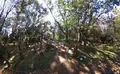 平和台公園の写真_236524