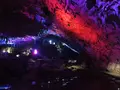 秋芳洞の写真_236598