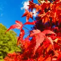 三景園の写真_236602