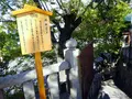 高津宮（高津神社）の写真_236760