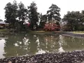 毛越寺庭園の写真_237096