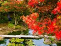 由志園の写真_237181