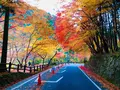 奥津渓の写真_237188