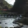 岩屋公園の写真_237246