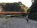 岩屋公園の写真_237248