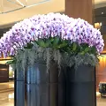 グランドハイアット シンガポールの写真_237390