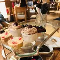グランドハイアット シンガポールの写真_237392
