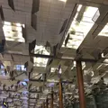 シンガポール・チャンギ国際空港（Singapore Changi International Airport）の写真_237399