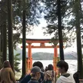 箱根神社の写真_237855
