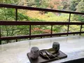 袋田の滝の写真_237950