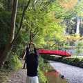 小國神社の写真_238412