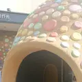 PATISSIER eS KOYAMA（パティシエ エス コヤマ）の写真_238501
