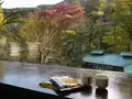 澤乃井園　清流ガーデンの写真_238508