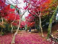 尾関山公園の写真_238544