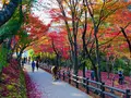 尾関山公園の写真_238546