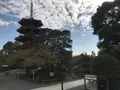 大師公園の写真_238636