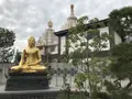 大師公園の写真_238641