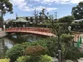 大師公園の写真_238643