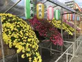 大師公園の写真_238653