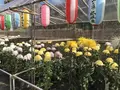 大師公園の写真_238655