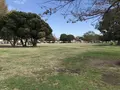 大師公園の写真_238657