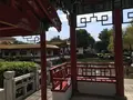 大師公園の写真_238665