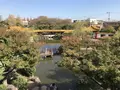 大師公園の写真_238671