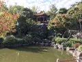 大師公園の写真_238672