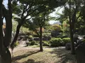 大師公園の写真_238678