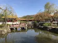 大師公園の写真_238679
