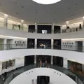 福井県立恐竜博物館の写真_238876