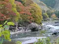 御岳渓谷の写真_238939