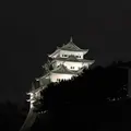 名古屋城の写真_238981