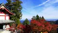 御岳山の写真_238995