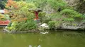 大谷寺・大谷観音の写真_239059