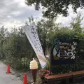ケニーズハウスカフェ 伊豆高原本店（Kenny's House cafe）の写真_239158