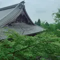 永観堂（禅林寺）の写真_239292