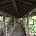 永観堂（禅林寺）の写真_239293