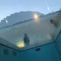 金沢21世紀美術館の写真_239298