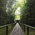 高桐院の写真_239314
