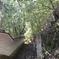 鞍馬山の写真_239362