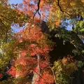 笠置寺の写真_239650