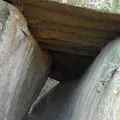 笠置寺の写真_239656