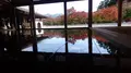宝徳寺の写真_239873