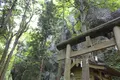 漆山神社（矢葺明神）の写真_239897